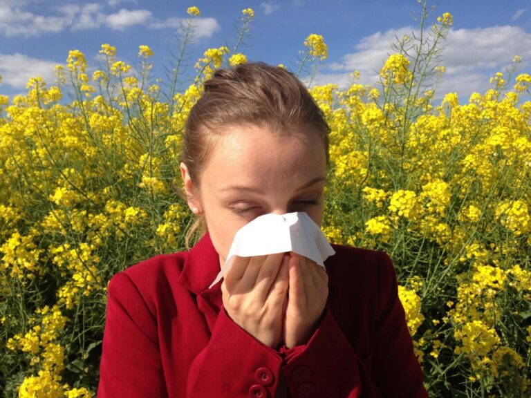시드니 봄철 헤이피버 (hayfever)
