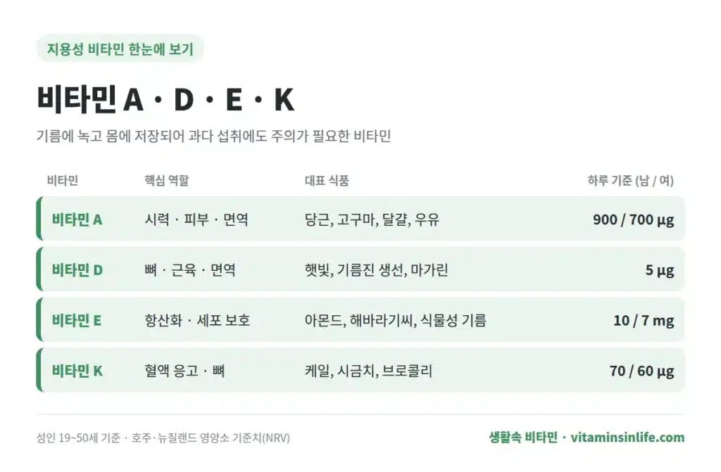 지용성 비타민 정보 요약