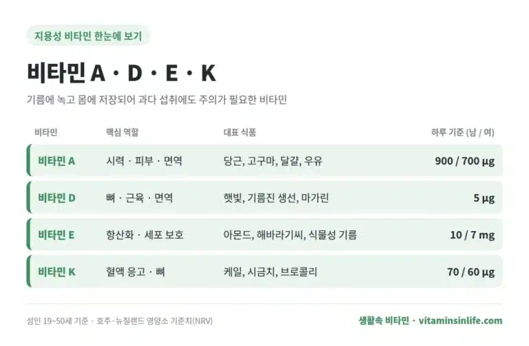 지용성 비타민 정보 요약