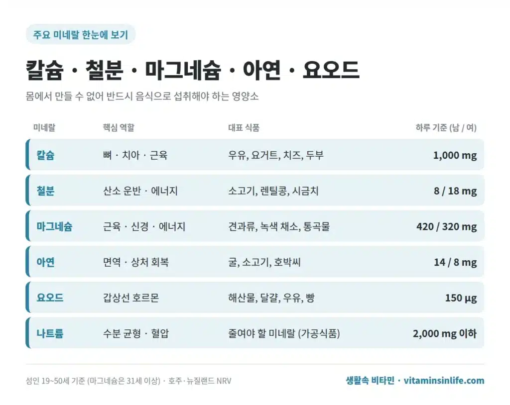주요 미네랄 및 영양소 정보