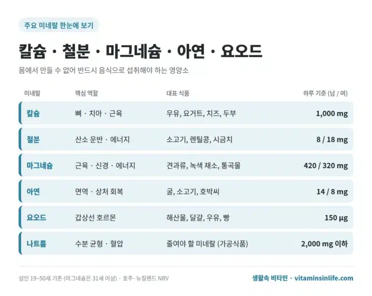 주요 미네랄 및 영양소 정보