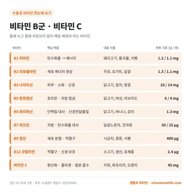 수용성 비타민 목록과 정보